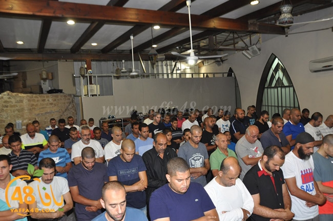 qader yaffa msajed (4).JPG